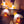 Honey Bee Solar Powered String Lights 30\50 LED Decor for Garden