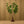 Led branches Flower Lamp White peach blossom