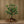 LED Tree Flower lamp White Flower + Triple 