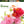 Honey Bee Solar Powered String Lights 30\50 LED Decor for Garden