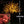Yellow LED light up cherry blossom tree 6.5ft/2.0м 1728leds Outdoor
